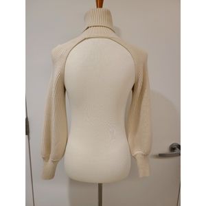 Crop Turtleneck sleeve